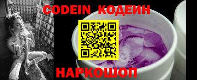 индика Камышлов