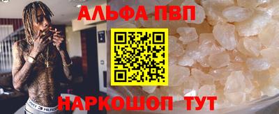 индика Камышлов