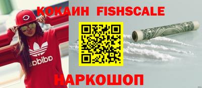 индика Камышлов