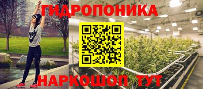 индика Камышлов