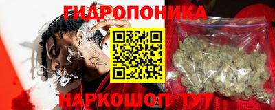 индика Камышлов