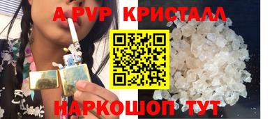 индика Камышлов