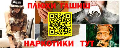 индика Камышлов