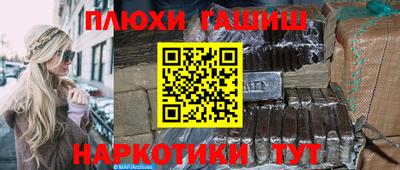 индика Камышлов