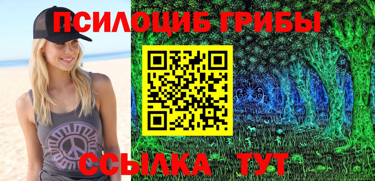Галлюциногенные грибы ЛСД  Псилоцибиновые грибы GOLDEN TEACHER  Красноармейск  Вход с VPN 